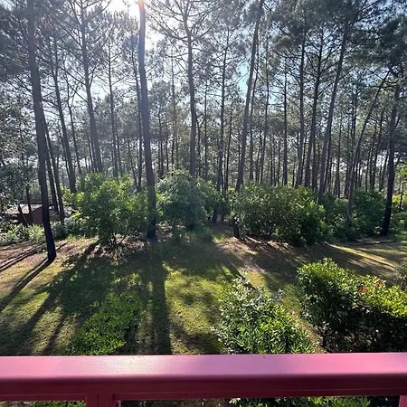 T2 Avec Terrasse Couverte, Piscine Chauffee A Lacanau Golf Et Ocean Lacanau