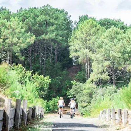 T2 - Calme & Confort - Pinede, Piscine, Et Ocean